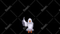 do custom alert for your stream twitch, kick, facebook or gaming