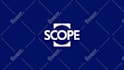 create a professional custom logo animation for your brand