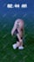 create viral roblox shorts animation videos for your channel