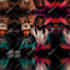 animate your album cover art