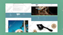 create a professional website launch promo or commercial ads