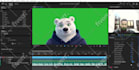 create a professional adobe character animator puppet