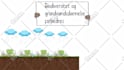 create whiteboard video animation