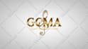 50 stunning animated logo videos in 24 hours
