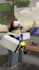 create you a fully customized roblox animation video