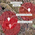 create fly in google earth videos for locations