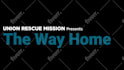 make text animation and graphics for you