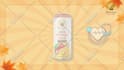 create 2d animated explainers and saas product demo videos