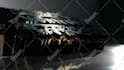 design amazing custom 3d logo animation and intro  in 3 hours