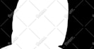 do rotoscoping, quality chroma keying professionally