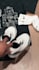 professionally edit viral tiktok videos, ads, reels, and shorts