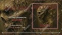 do your metal song streaming visualizer video for single or album