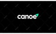 create professional custom logo animation intro