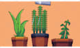 create pixel art backgrounds for video games and animation