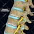 create your 3d medical anatomy scientific biomedical illustration or animation