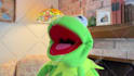 have kermit the frog record a video message or audio message