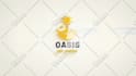 create custom 2d 3d logo animation and animated  intro video