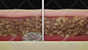 make 3d and 2d medical animated videos