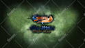 do professional custom logo animation intro and outro video