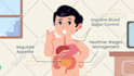 create a professional 2d animated explainer video