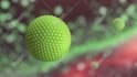 create premium quality 2d medical animation video
