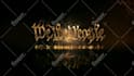 do gold fire logo reveal animation