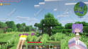 edit a minecraft smp video for you