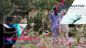 do home healthcare, hospice, palliative care, home care videos