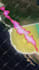 create vox and tiktok style map animation using geolayers 3