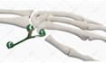 do high quality 3d medical animation and product modeling