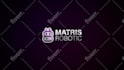 create a custom 2d reveal 4k logo animation and video intro