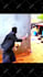 create realistic ai video and ai animation videos