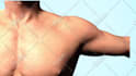 do human anatomy using 3d medical animation