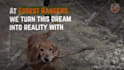 create high quality social media video ads, website promos