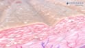 create 3d medical animation