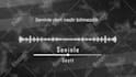 make an audio visualizer video for your release