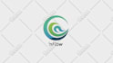 create a perfect custom logo animation in 24 hours