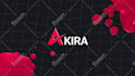 create a custom 2d reveal 4k logo animation and video intro