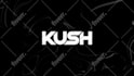 make glitch logo animation vj loop fast delivery in 12 hours