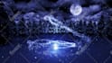 create happy new year 2026 video animation greetings