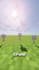edit your minecraft youtube video