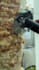 do trending food reel, food recipe and cooking reel editing