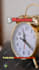do professional video editing within 24 hours