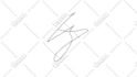 do handwritten signature logo animation or text animation