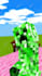 create minecraft 3d animation