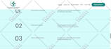 build squarespace website design and development