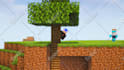 do a professional level minecraft animation