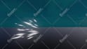 create game vfx, and shader in unity and unreal