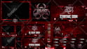 design animated custom twitch overlays,facecam and full stream