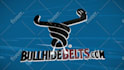 create custom logo animation, intro and outro for youtube